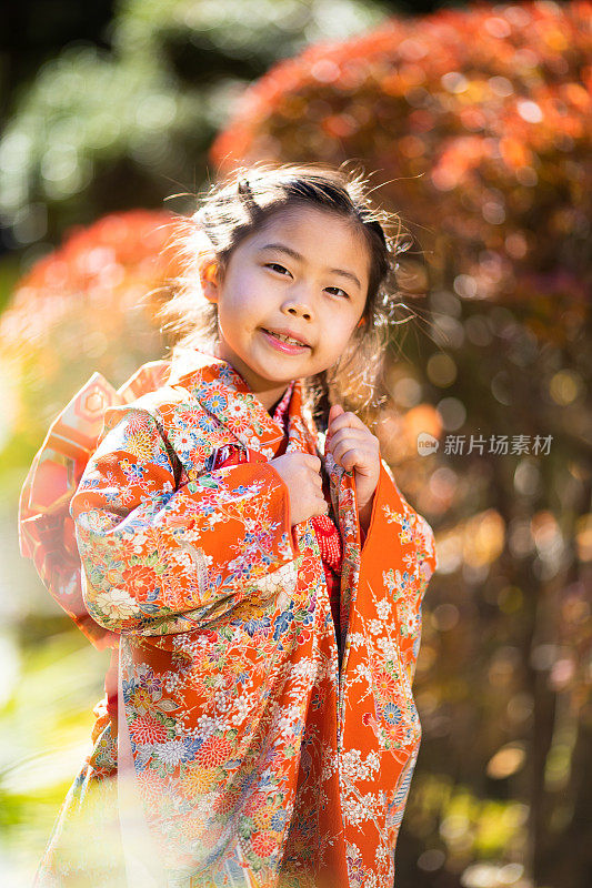 Cute Japanese girl in Kimono in Autumn nature 七五三